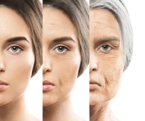The Secrets of Anti-Aging